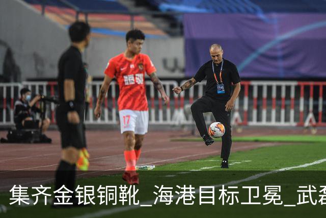 集齐金银铜靴 海港目标卫冕 武磊的伤是个麻烦